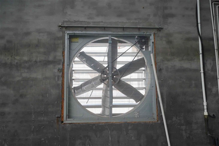 Greenhouse Cooling Equipment Ventilation Exhaust Fan Cooling Fan For Agricultural Greenhouse For Poultry Farm