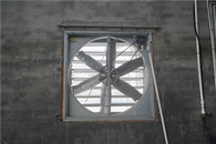 温室冷却装置換気排気ファン養鶏場用農業温室用冷却ファン